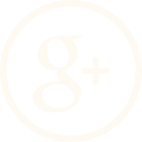 Google Plus icon